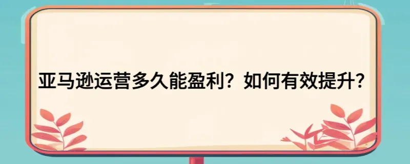 亚马逊运营多久能盈利？如何有效提升？